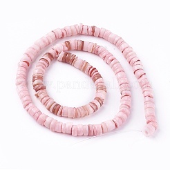 Shell Beads Strands&nbsp;SSHEL-E571-49A