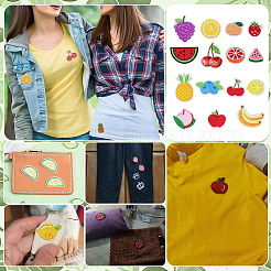 30Pcs 15 Styles Fruits Computerized Embroidery Cloth Iron on/Sew on Patches&nbsp;PATC-PH0001-67