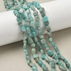 Natural Amazonite Beads Strands&nbsp;X-G-F521-25