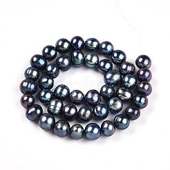 Natural Cultured Freshwater Pearl Beads Strands&nbsp;PEAR-N013-08C-01