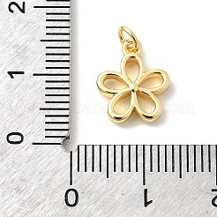 Brass Pendants&nbsp;KK-Z135-13A-G