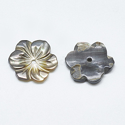 Black Lip Shell Beads&nbsp;SSHEL-S260-062A