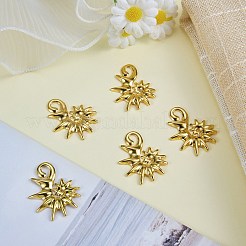 5Pcs 304 Stainless Steel Pendants&nbsp;STAS-SZ0003-60