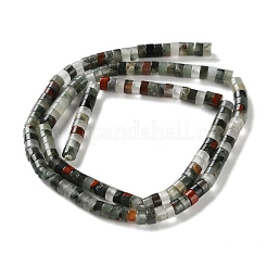 Natural African Bloodstone Beads Strands&nbsp;G-H230-59