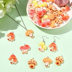 30Pcs 5 Styles Resin Pendants&nbsp;RESI-CJ0005-20