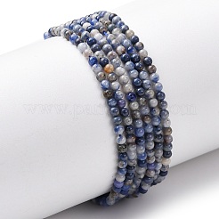 Natural Blue Spot Jasper Beads Strands&nbsp;G-Z116-A02-2mm