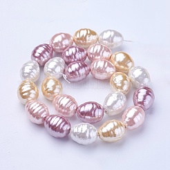 Shell Pearl Beads Strands&nbsp;BSHE-P030-03