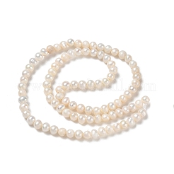 Natural Cultured Freshwater Pearl Beads Strands&nbsp;PA-CBAC463-40