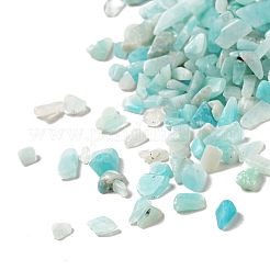 Natural Amazonite Beads&nbsp;G-D472-01