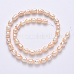 Natural Cultured Freshwater Pearl Beads Strands&nbsp;PEAR-N012-07G