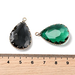 K9 Glass Pendants&nbsp;GLAA-Q069-06