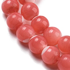 Dyed Natural Trochus Shell Beads Strands&nbsp;BSHE-G034-25B