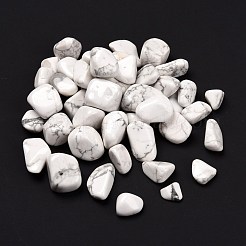 Natural Howlite Beads&nbsp;G-O029-08D