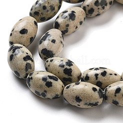 Natural Dalmatian Jasper Beads Strands&nbsp;G-B106-B20-01