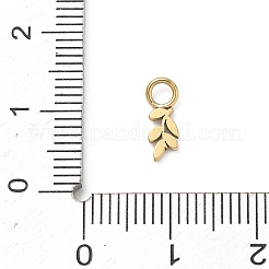 304 Stainless Steel Charms&nbsp;STAS-B140-02G