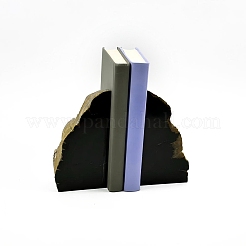 Natural Petrified Wood Decorative Bookends&nbsp;AJEW-H157-04