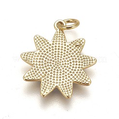 Brass Enamel Pendants&nbsp;KK-L185-03G