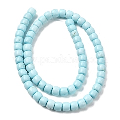 Natural Magnesite Beads Strands&nbsp;G-P598-C01-01B