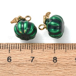 304 Stainless Steel Charms&nbsp;SA-D002-14B-G