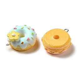 Opaque Resin Imitation Food Pendants&nbsp;RESI-G093-01