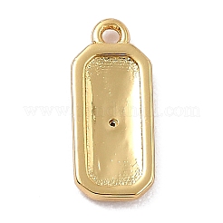 Brass Micro Pave Cubic Zirconia Charms&nbsp;ZIRC-I054-12G