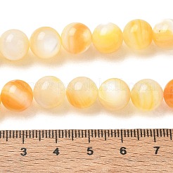 Natural Yellow Shell Beads Strands&nbsp;SH-CBACA76-16C