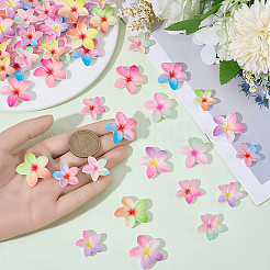 72Pcs 12 Styles Plastic Cabochons&nbsp;KY-SC0002-58