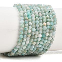 Natural Amazonite Bead Strands&nbsp;G-P279-42-3mm