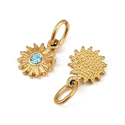 304 Stainless Steel Charms&nbsp;STAS-Z143-04G