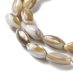 Natural Freshwater Shell Beads Strands&nbsp;SSHEL-B002-13