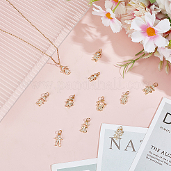 12Pcs 12 Style Brass Micro Pave Clear Cubic Zirconia Charms&nbsp;ZIRC-WR0001-07