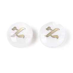 Natural Freshwater Shell Beads&nbsp;BSHE-ZX007-03D