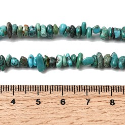 Natural HuBei Turquoise Bead Strands&nbsp;G-H345-A01-03
