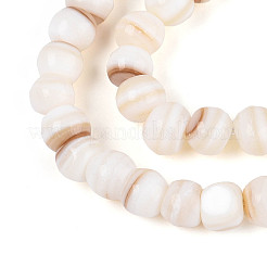 Natural Freshwater Shell Beads Strands&nbsp;SHEL-N038-04