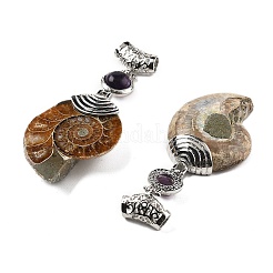 Natural Amethyst Fossil Snail Pendants&nbsp;G-F062-16