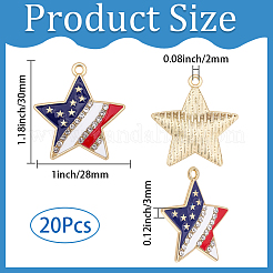 20Pcs Independence Day Alloy Enamel Pendants&nbsp;ENAM-SC0008-28