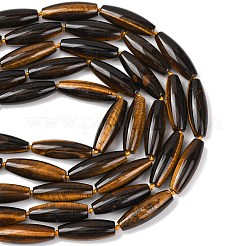 Natural Tiger Eye Beads Strands&nbsp;G-L654-G10-01