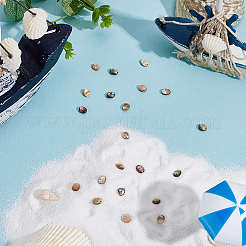1 Strand Natural Paua Shell Beads Strands&nbsp;BSHE-ME0001-05