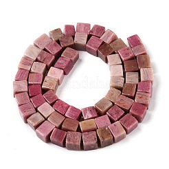 Natural Rhodonite Beads Strands&nbsp;G-T139-6x6-03
