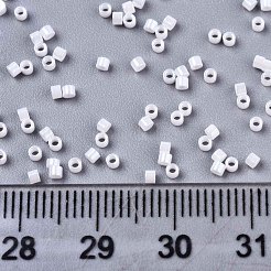 FGB 11/0 Grade A Baking Paint Glass Seed Beads&nbsp;SEED-S030-0121