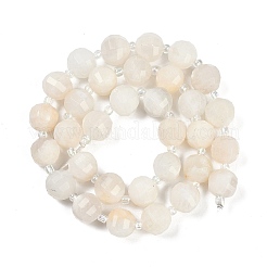 Natural White Moonstone Beads Strands&nbsp;G-G182-B09-05