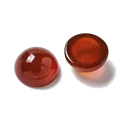Natural Carnelian Cabochons&nbsp;X-G-Q173-01B-14