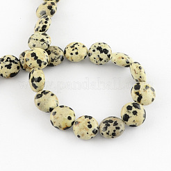Natural Dalmation Jasper Bead Strands&nbsp;G-R189-14