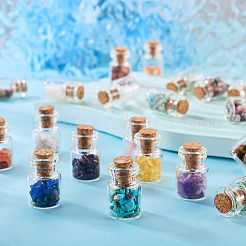 Natural & Synthetic Gemstone Chip Beads Glass Bottles&nbsp;G-KS0001-02