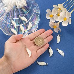 Natural Trochid Shell/Trochus Shell Pendants&nbsp;LS-BSHE-CJC0002-13