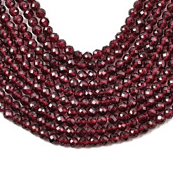 Natural Garnet Beads Strands&nbsp;G-A129-3mm-05