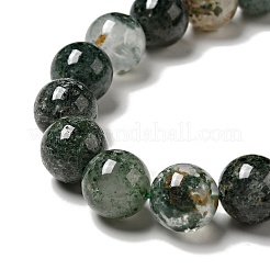 Natural Fuchsite Beads Strands&nbsp;G-K285-40C-1