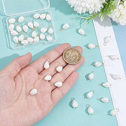 40Pcs Natural Shell Pendants&nbsp;PALLOY-NB00015