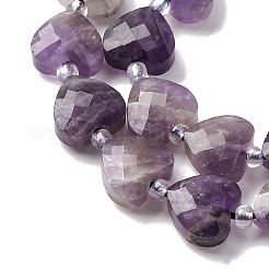 Natural Amethyst Beads Strands&nbsp;G-P570-E17-01