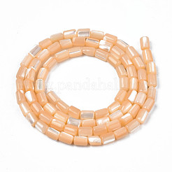 Natural Trochid Shell/Trochus Shell Beads Strands&nbsp;SHEL-N003-26-B06